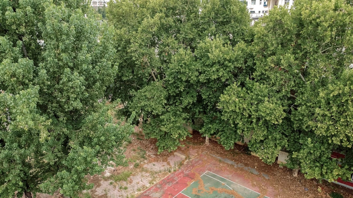 Ползите от редовното спортуване за цялото семейство